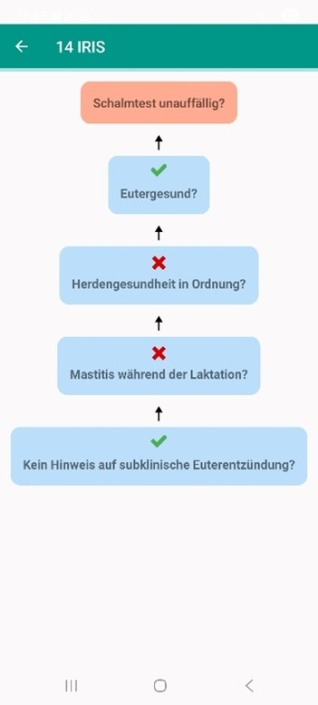 Bild3