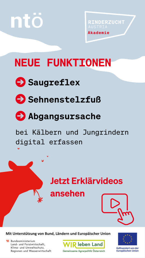 alle Videos-story